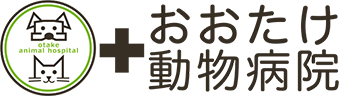 おおたけ動物病院