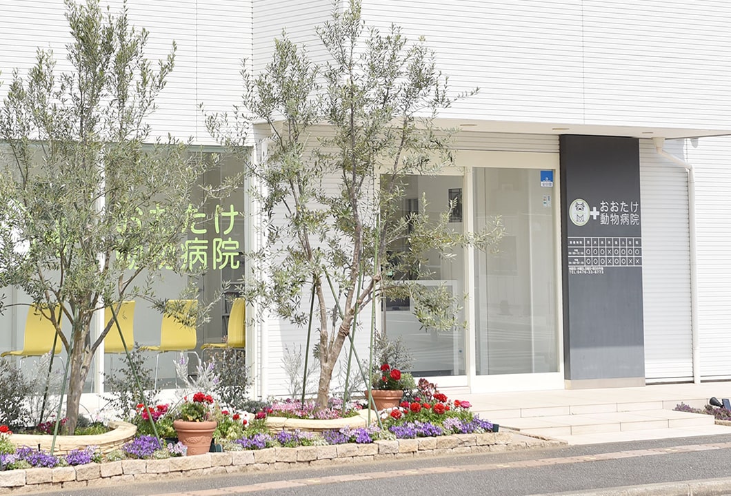 おおたけ動物病院の外観写真