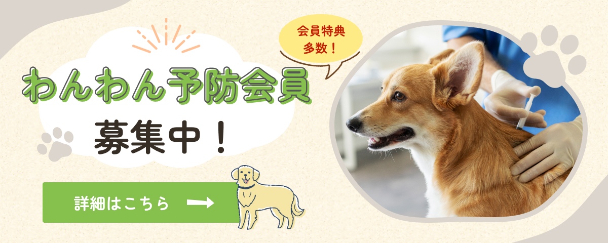 わんわん予防会員募集！ 会員特典も多数あります