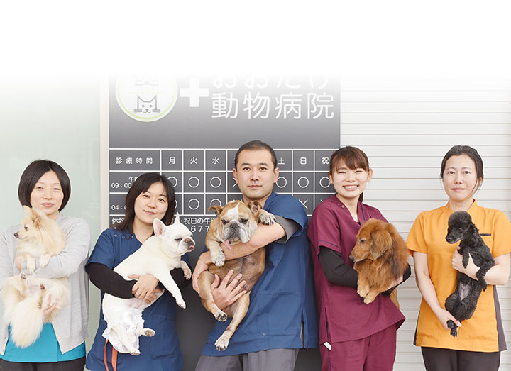 スタッフ紹介 おおたけ動物病院 印西市 牧の原 印旛日本医大の動物病院 スタッフ紹介 おおたけ動物病院 印西市 牧の原 印旛日本医大の動物病院